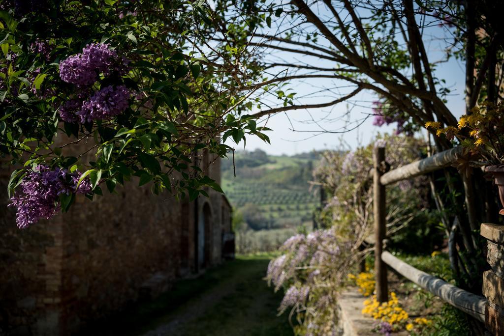 Borgo Amarrante Villa Montaione Luaran gambar
